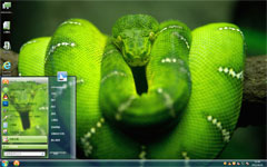 绿莽win7系统主题