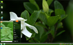 栀子花开win7系统主题