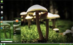 绿幽蘑菇win7桌面主题