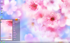 桃花盛开win7精美主题