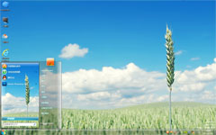 绿色稻穗win7免费主题