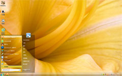 黄花win7系统主题