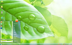 水滴绿叶win7高清壁纸