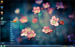 花海win7免费主题