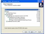 Real Alternative(Real解码器)V2.02安装版