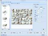 CollageIt(照片拼贴制作工具)V1.9.2.3548中文专业版